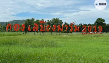 Diesel Generator with 4 Wheels Trailer