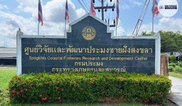 Supply Open Type Generator, ATS and Installation