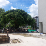 Supplied and installed a 900 kVA silent-type diesel generator for a government facility, ensuring reliable backup power for critical public services. The project showcases our expertise in delivering large-scale, dependable power solutions.