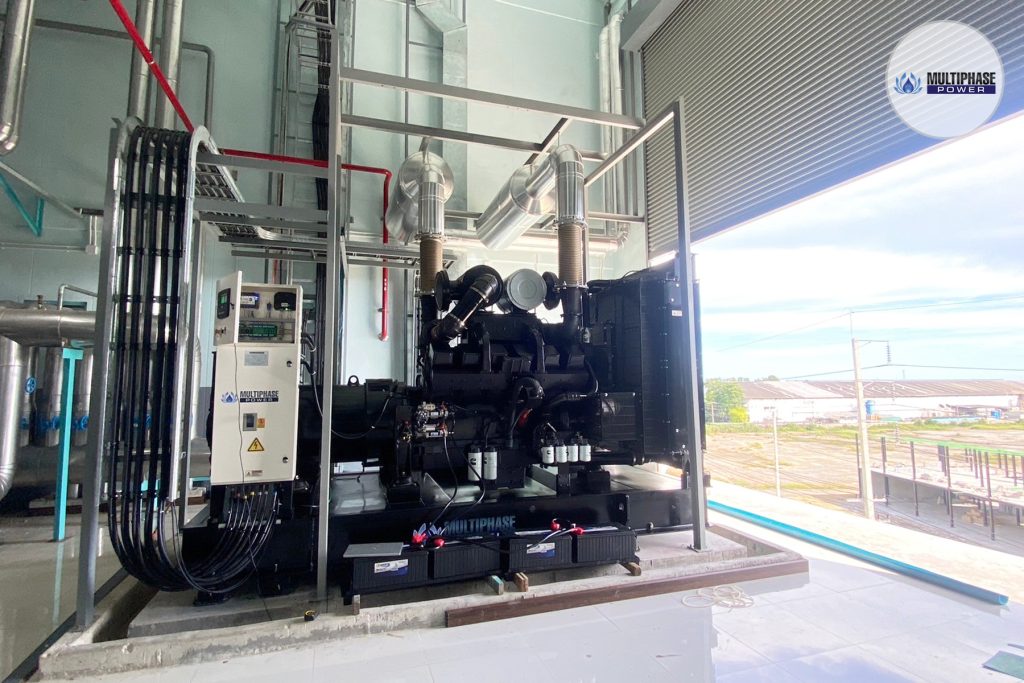 1000 kVA Diesel Generator and Installation Services